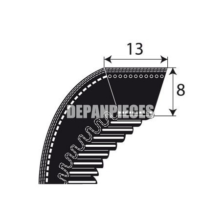 COURROIES CRANTEES SERIE AX POUR FACONNEUSES STAF ET JAC